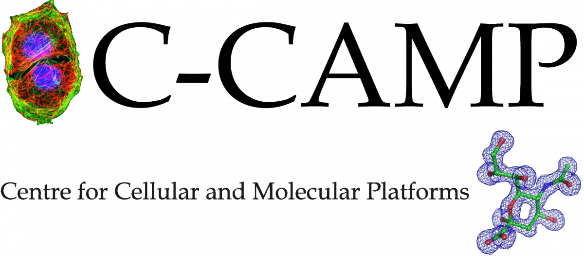 CCAMP