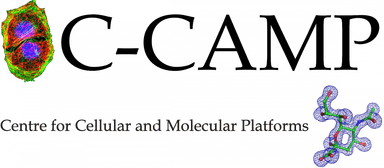 CCAMP